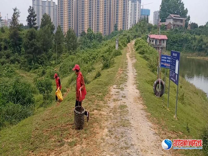 洞口县文昌街道开展溢洪道杂草清理行动
