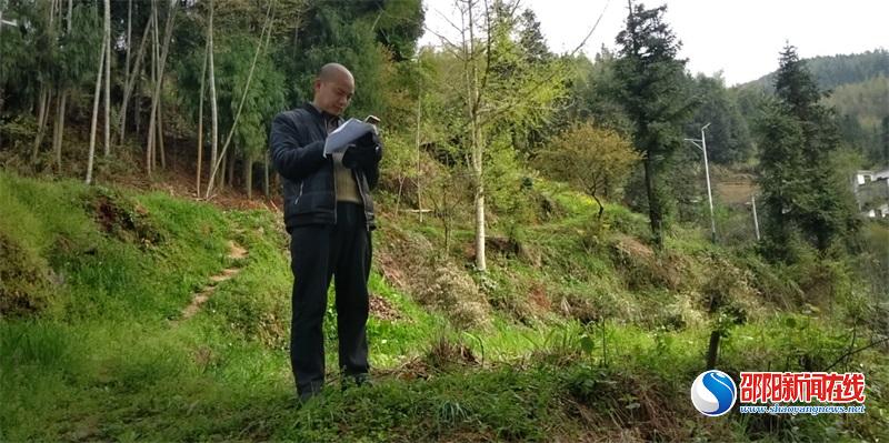 洞口县桐山乡椒林村：探荒地治理之策 燃村民致富之灯