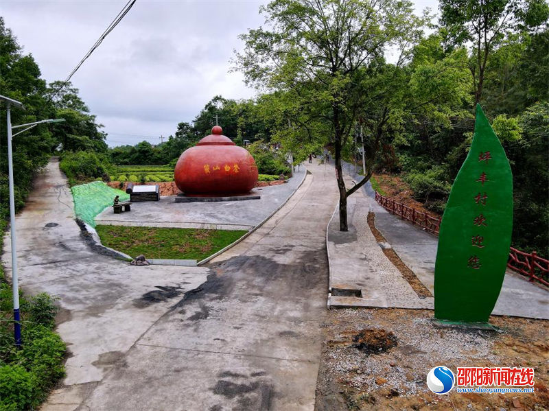 新宁县丰田乡坪丰村多措并举踏上振兴路