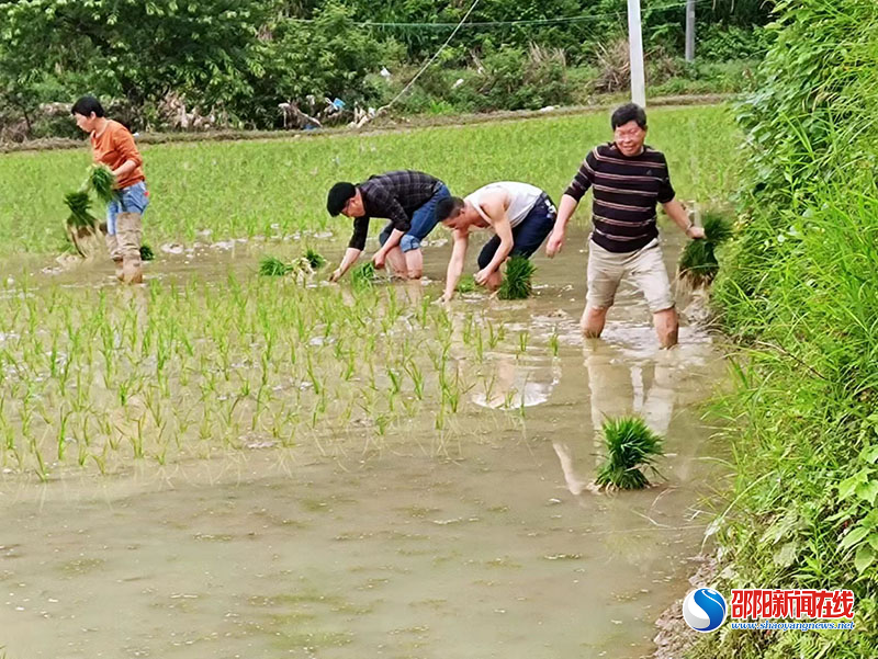 隆回县财政局：干部职工与帮扶对象同吃同住同劳动
