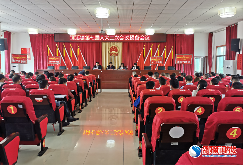 【市域社会治理现代化】新邵县潭溪镇第七届人民代表大会第二次会议顺利召开