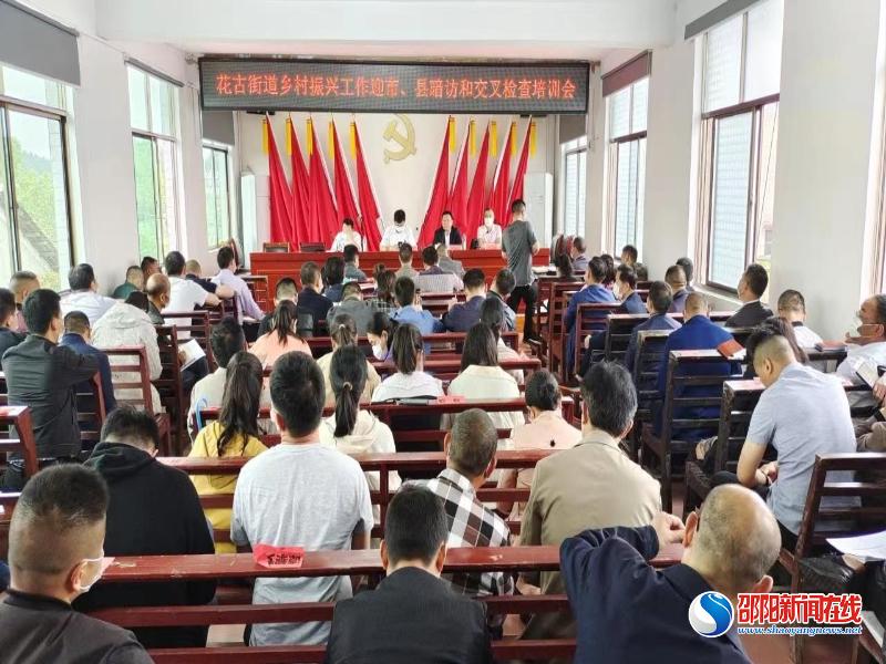 洞口县花古街道：巩固拓展脱贫攻坚成果 全力推进乡村全面振兴