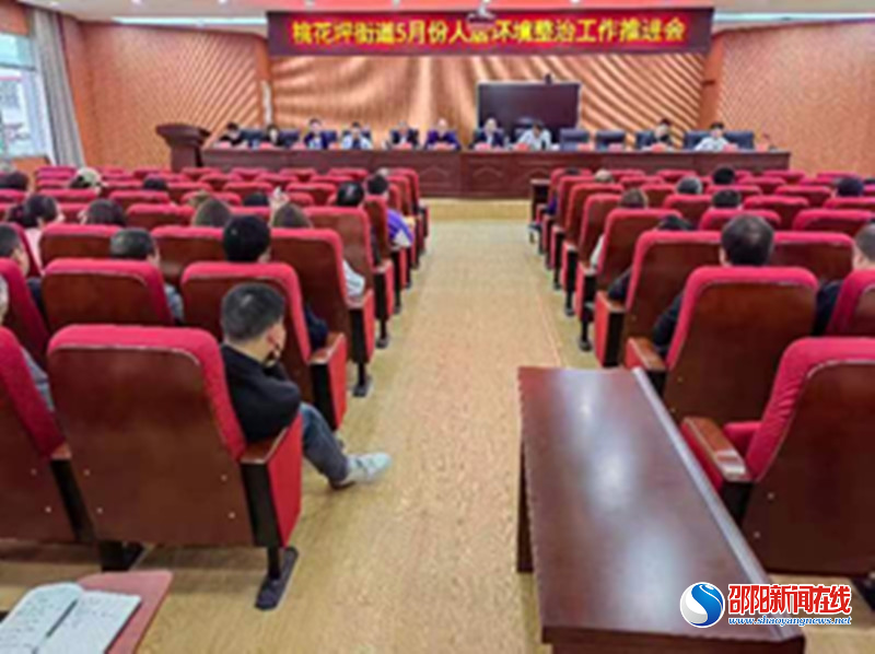 隆回县桃花坪街道召开5月份人居环境整治工作推进会
