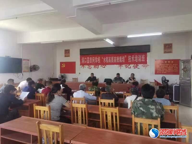 洞口县高沙镇南泥村为村民举办“水稻高质高效栽培”技术培训班