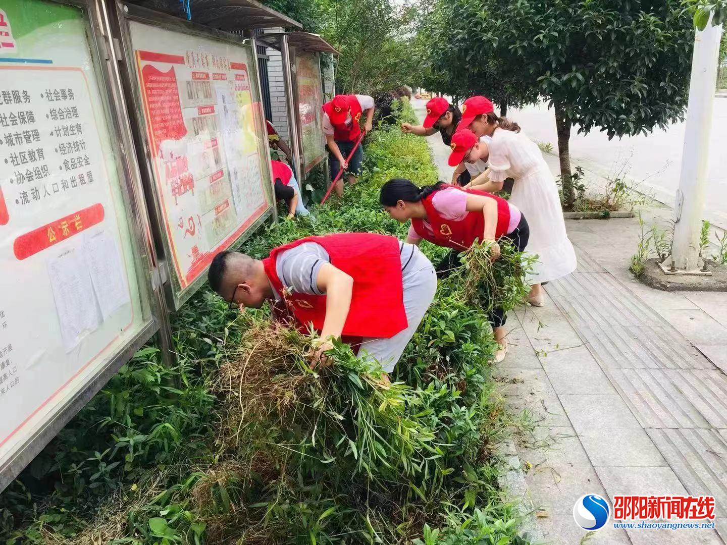 洞口县花古街道：迎端午佳节 全面开展农村人居环境整治
