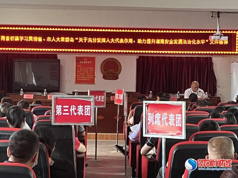 隆回荷香桥镇：助力安全生产，人大代表在行动
