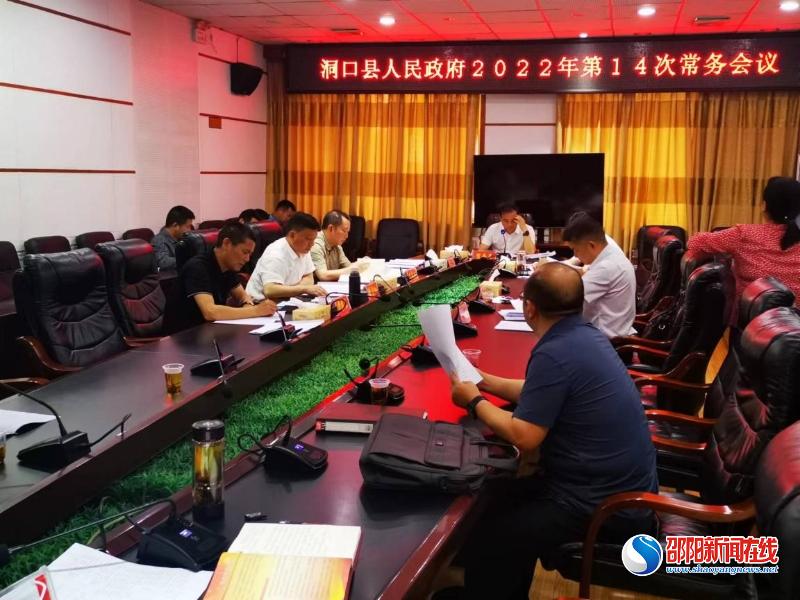洞口县人民政府常务会议专题研究生态环境工作