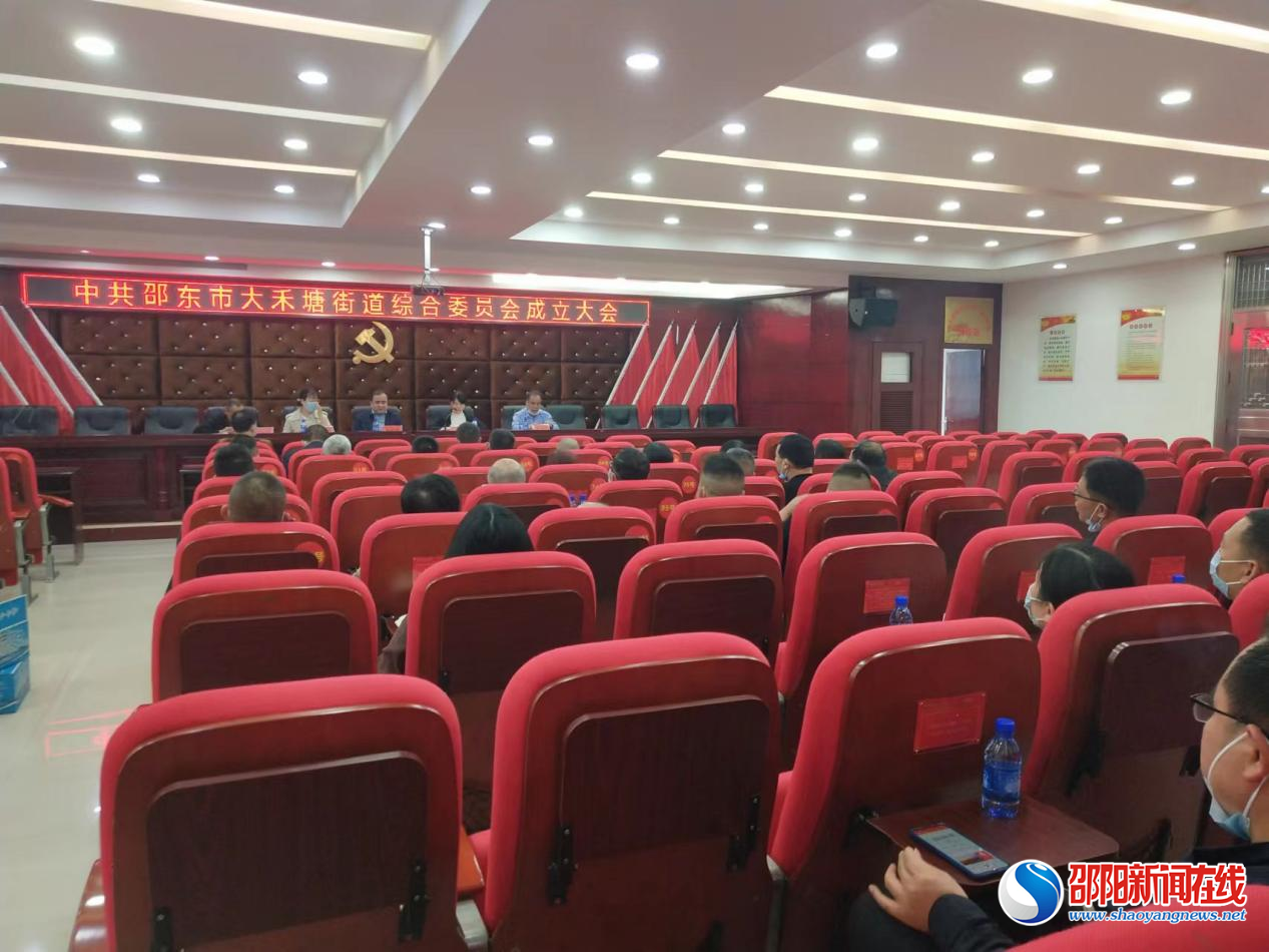 邵东市大禾塘街道：全员发力，推动“两新”组织党组织覆盖率有效提升