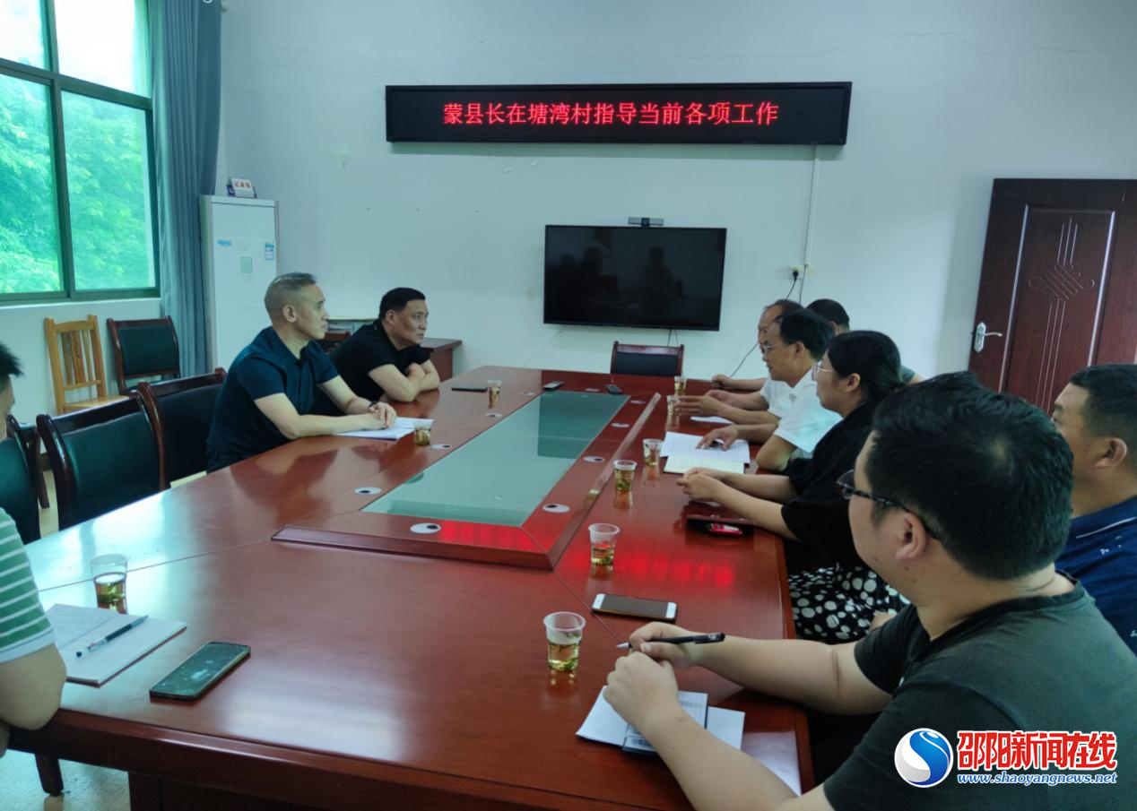 蒙华宁到洞口县石柱镇塘湾村调研基层党建及当前重点工作
