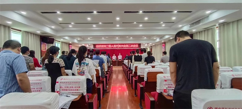 邵东市杨桥镇第二届人民代表大会第二次会议胜利召开