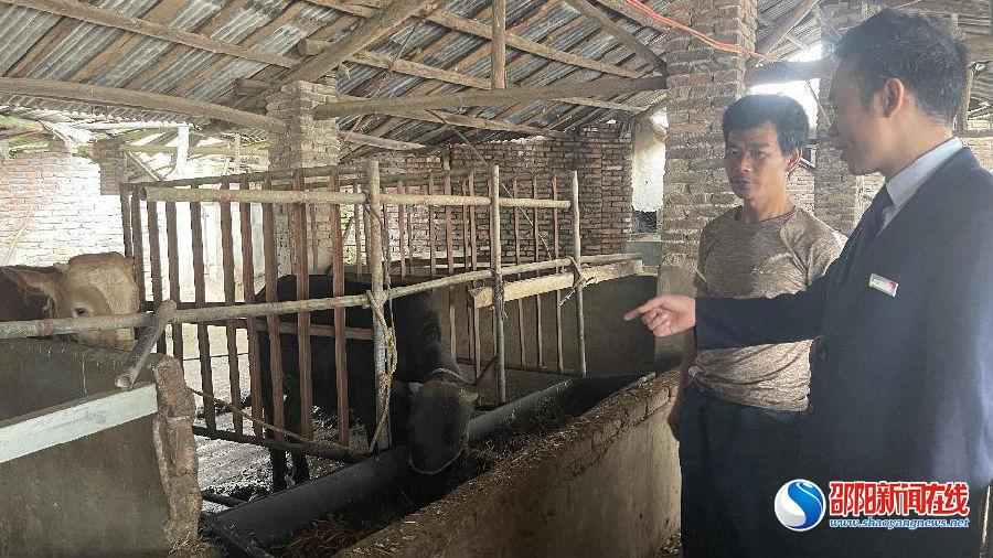 隆回农商银行：后备人才初露“尖尖角”