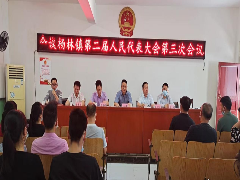 洞口县杨林镇第二届人民代表大会第三次会议圆满成功