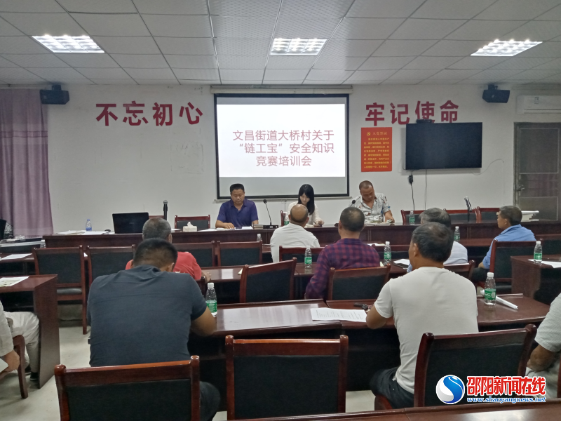 洞口县文昌街道大桥村掀起“链工宝”学习热潮