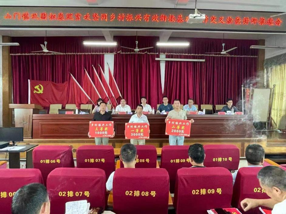 洞口县山门镇：扎实开展专项督查 夯实乡村振兴基础