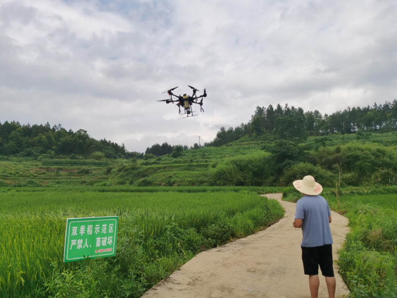 邵阳县岩口铺镇做足做实粮食生产文章