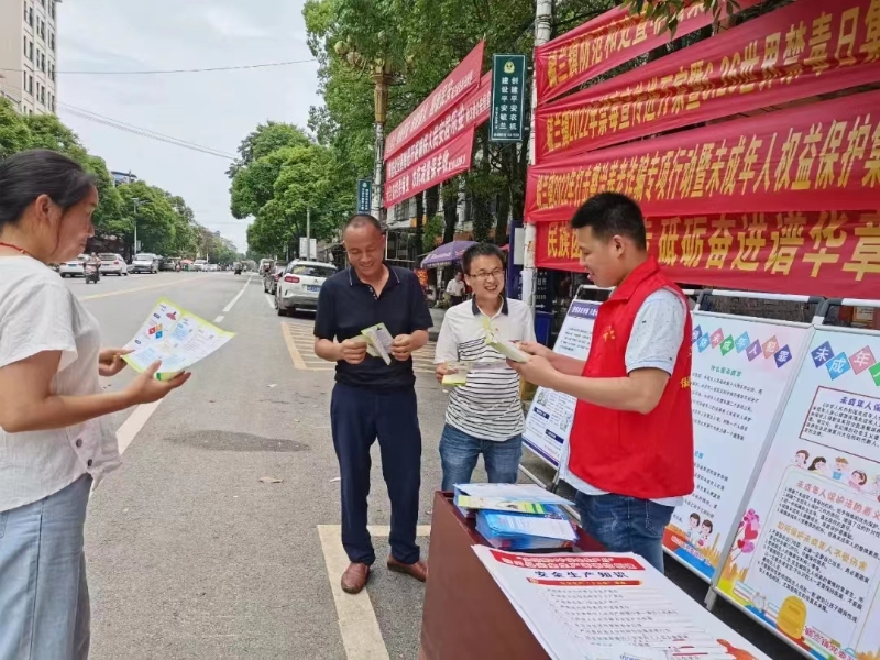 洞口县毓兰镇党员干部开展集中宣传活动
