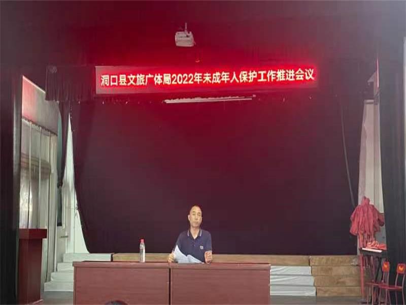 洞口县开展文旅企业安全生产月暨禁毒和未成年人保护工作推进会