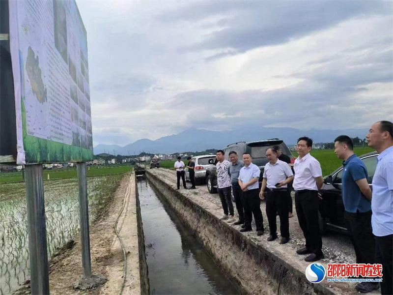 省自然资源厅在新宁督查耕地恢复工作