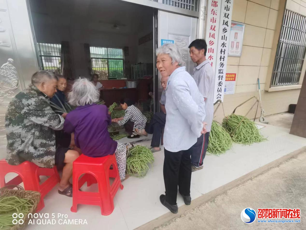 邵东市双凤乡山水村：党建促振兴 产业助民富
