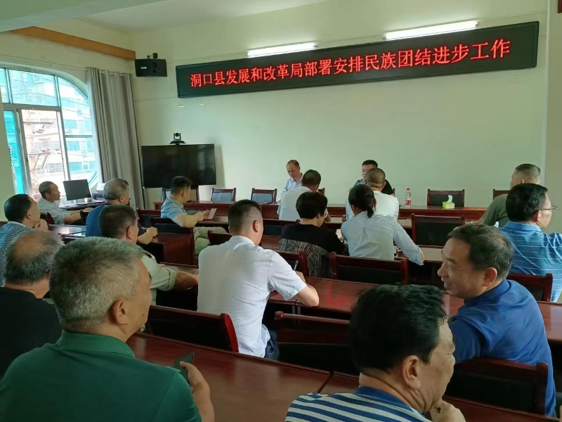 洞口县发展和改革局扎实开展民族团结进步工作