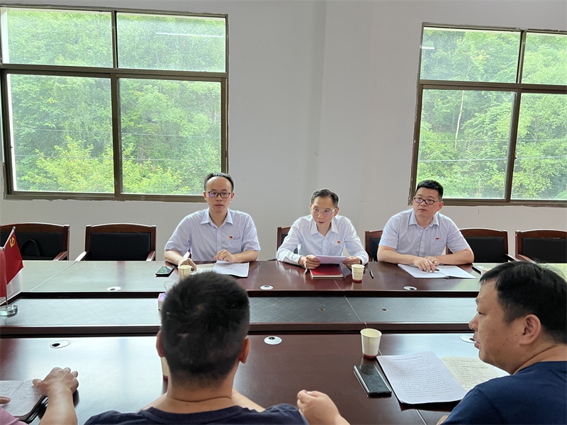 广发银行长沙分行党委委员、副行长蒋智一行到新宁县水庙镇水庙新村现场调研乡村振兴工作