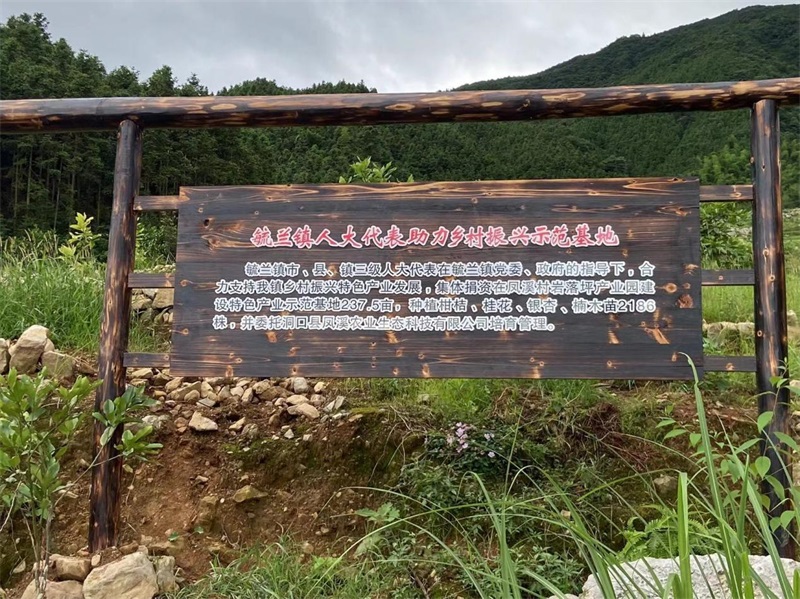 洞口县毓兰镇建立人大代表助力乡村振兴示范基地