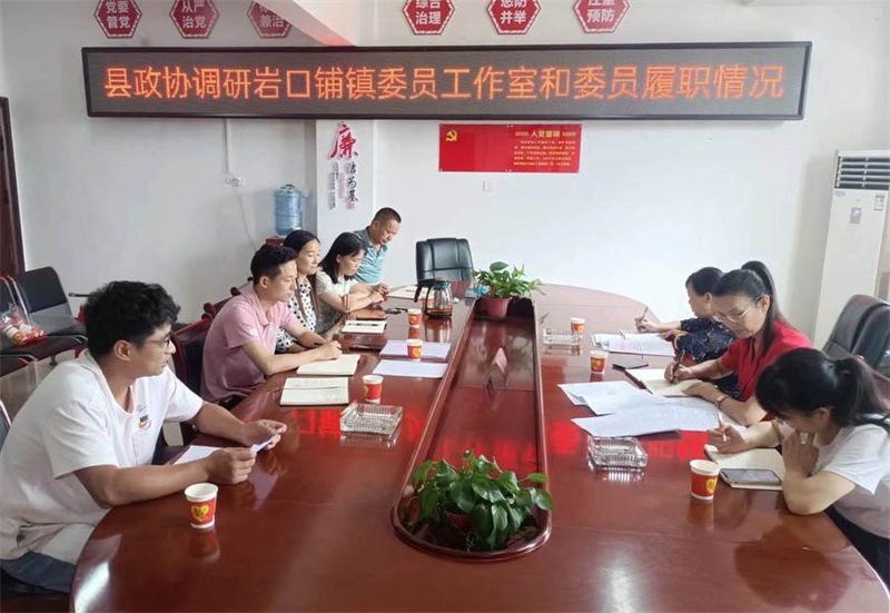 邵阳县政协调研指导岩口铺镇委员工作室建设