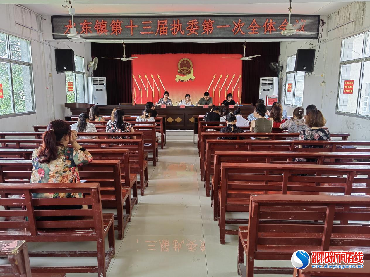 洞口县水东镇妇联换届工作圆满完成