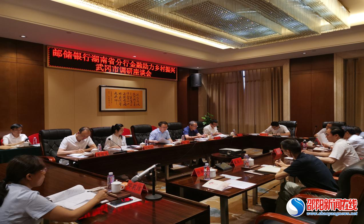 陈鹏一行赴武冈市开展调研