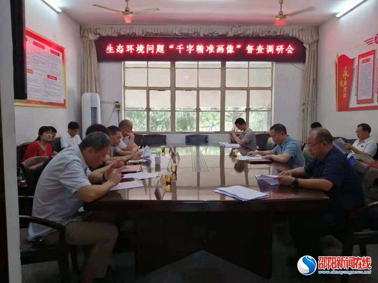 湖南省生态环境厅赴洞口开展“千字精准画像”督察调研