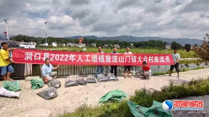 洞口县山门镇开展人工增殖放流活动 