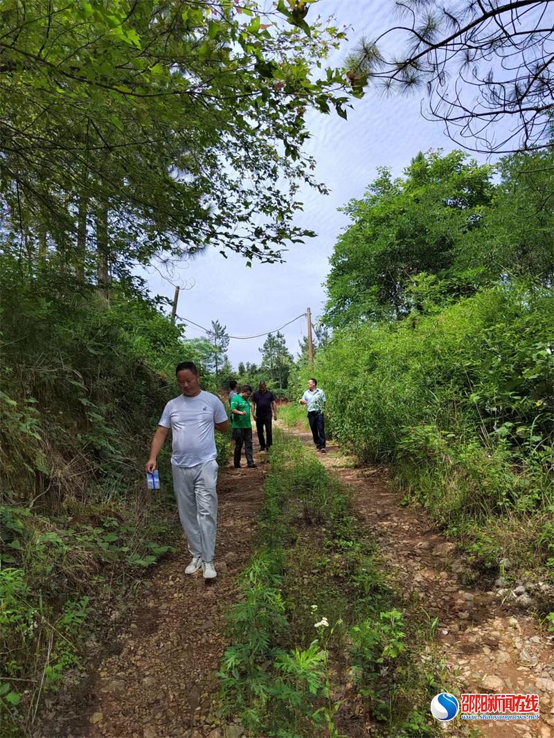 利剑行动：邵东市斩断毒瘤回应民生诉求