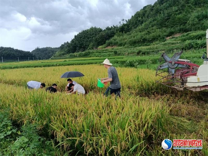 隆回县北山镇：学习水稻机收减损，助力粮食丰产丰收