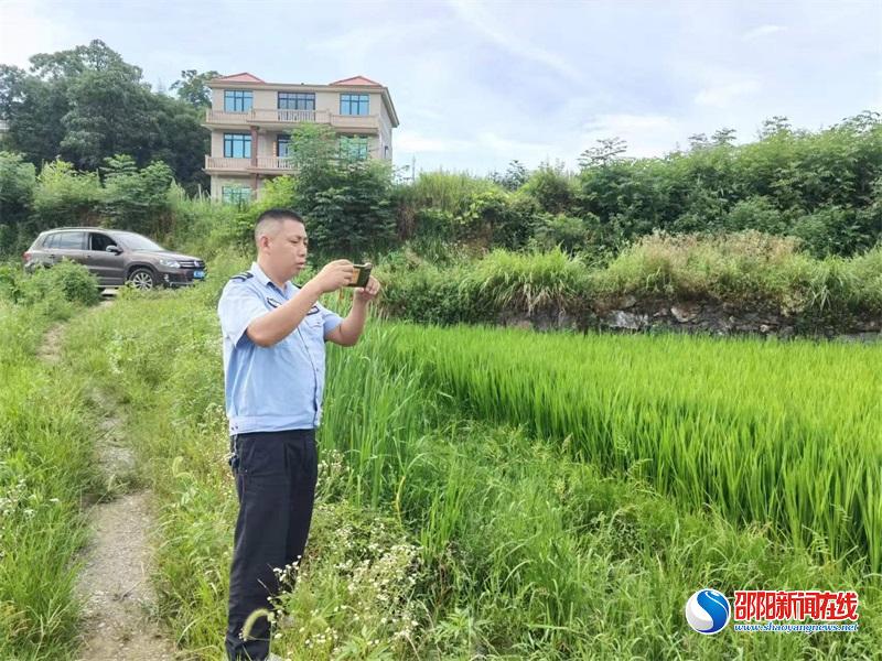 隆回县桃花坪街道打响耕地“非农化”“非粮化” 整治攻坚战