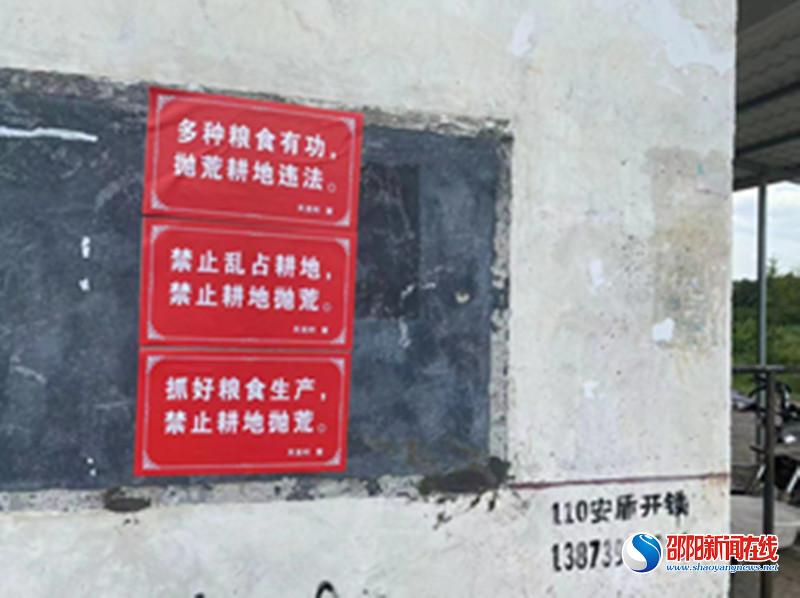 隆回县桃花坪街道多措并举整治耕地抛荒