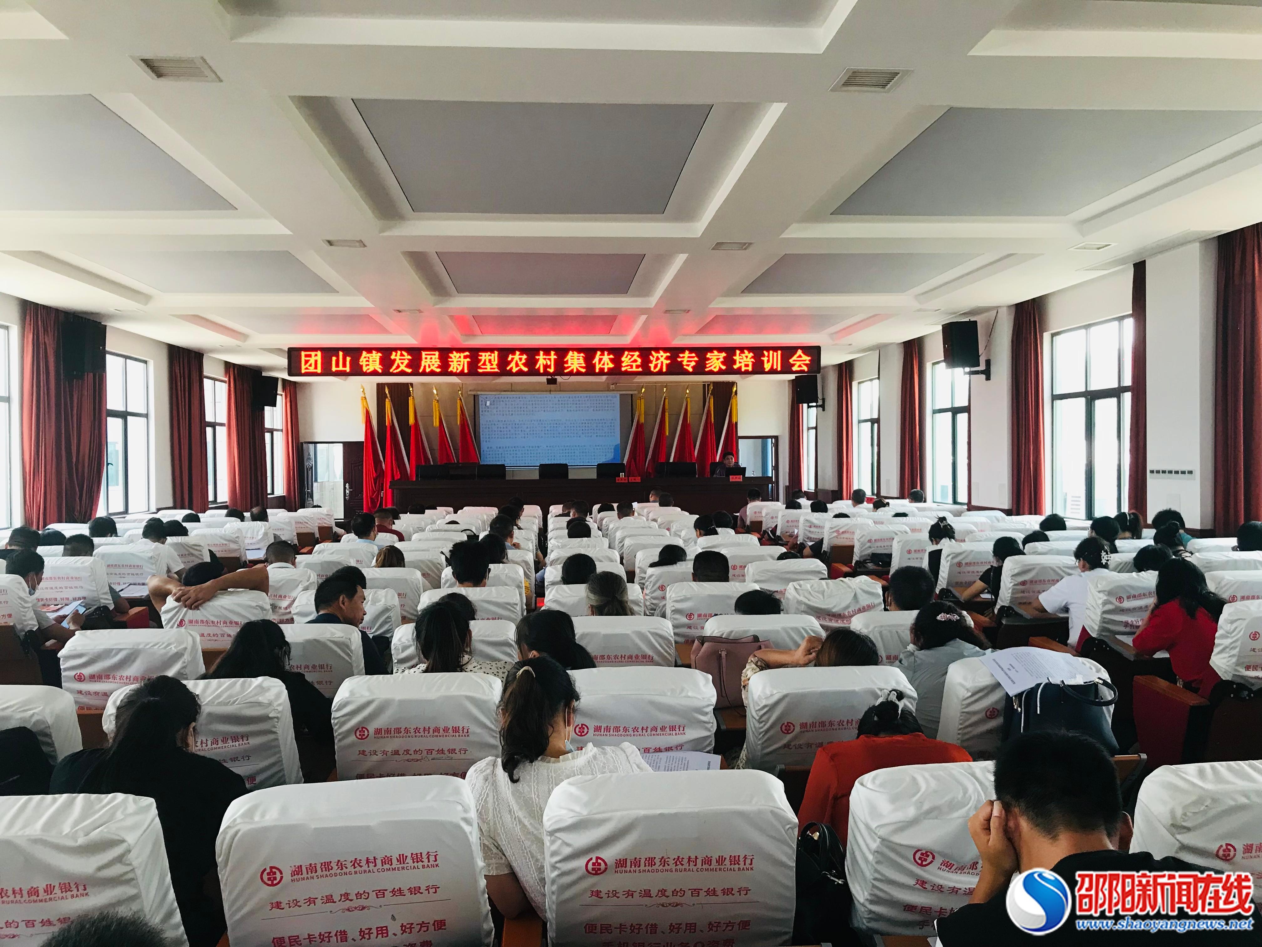 邵东市团山镇组织“发展新型农村集体经济专家培训会”