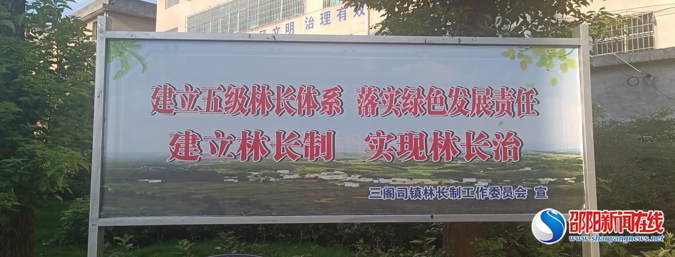 隆回县三阁司镇扎实推进林长制工作