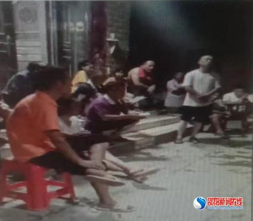 新宁县月汉村活跃着一支柑橘木虱防治先锋队