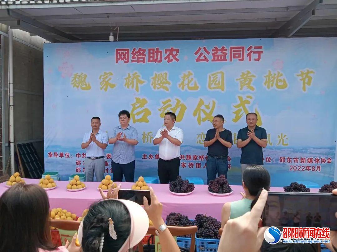 邵东市魏家桥樱花园黄桃开园，40万斤等你来摘！
