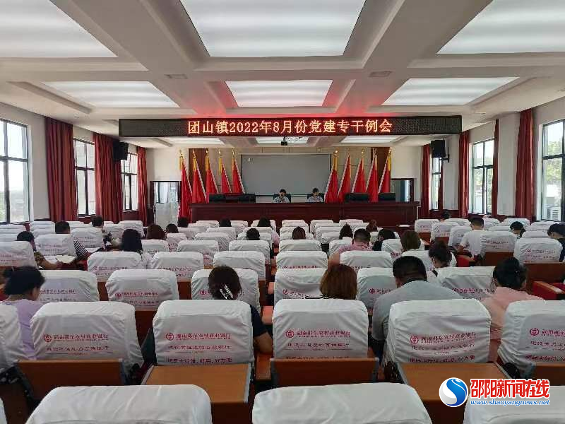 邵东市团山镇召开党建专干业务培训例会