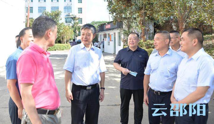 严华在市区调研粮食收购工作：守牢粮食质量安全底线 确保完成粮食收购任务