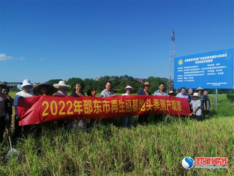 邵东市再生稻头季喜获丰收