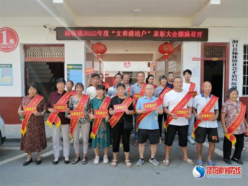 洞口县杨林镇：环卫整治百日行，美丽杨林正当时