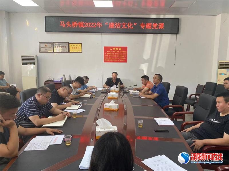 新宁县马头桥镇：清风党课入人心，廉洁文化正当时
