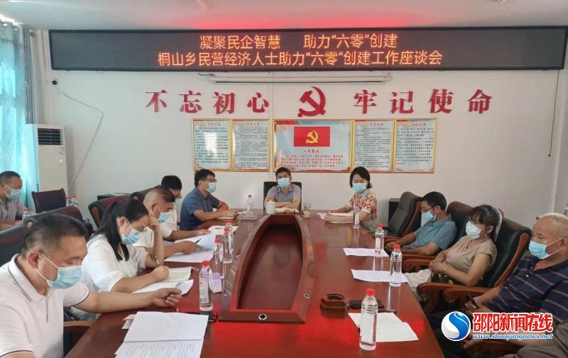 民营经济人士汇聚洞口桐山助力“六零”创建谋振兴