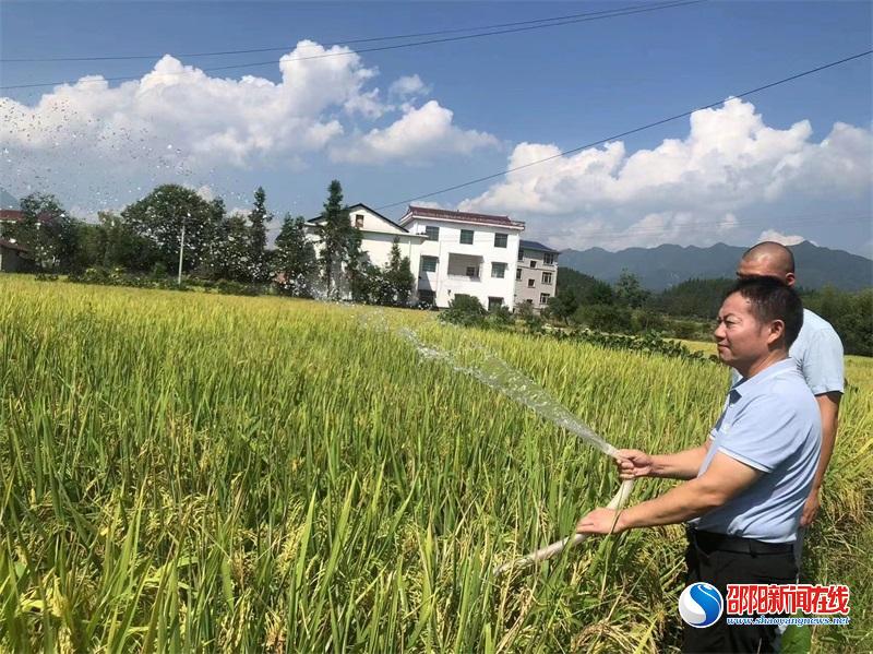 洞口县花古街道：干群全力抗旱保增收