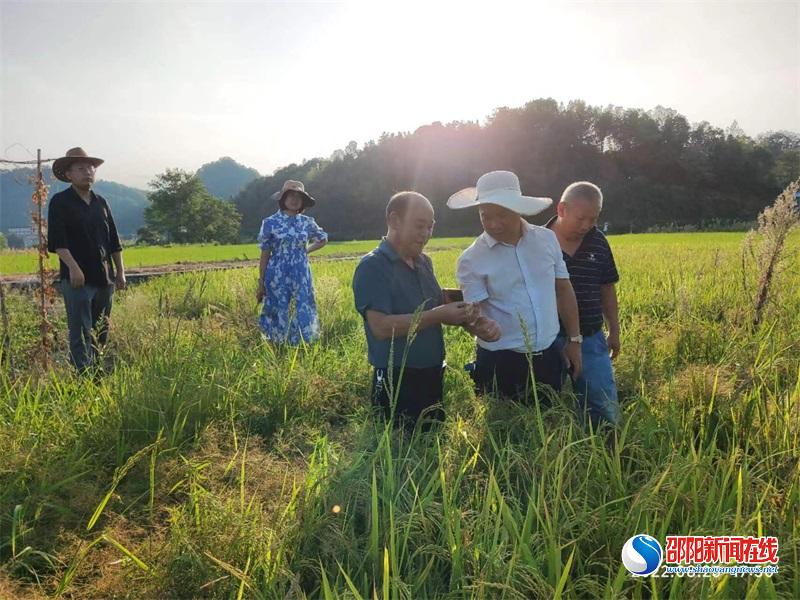 新邵县潭溪镇：践行为民宗旨 答好抗旱救灾“考卷”
