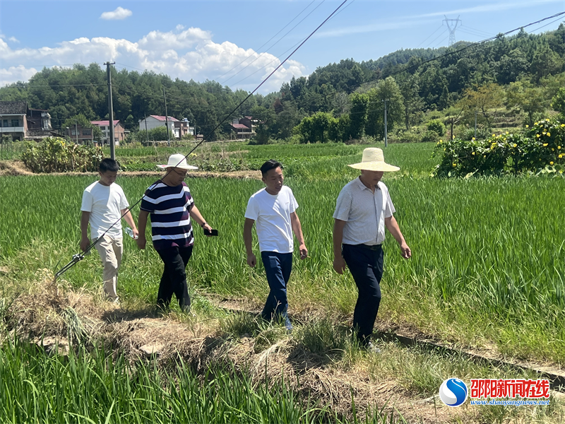 新邵县酿溪镇：积极应“烤” 抗旱灾
