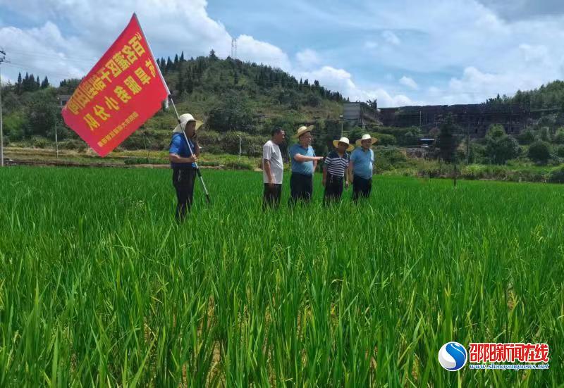 邵阳大圳红星水管站抗旱一线破难点疏堵点