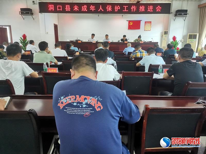 洞口县召开未成年人保护工作推进会